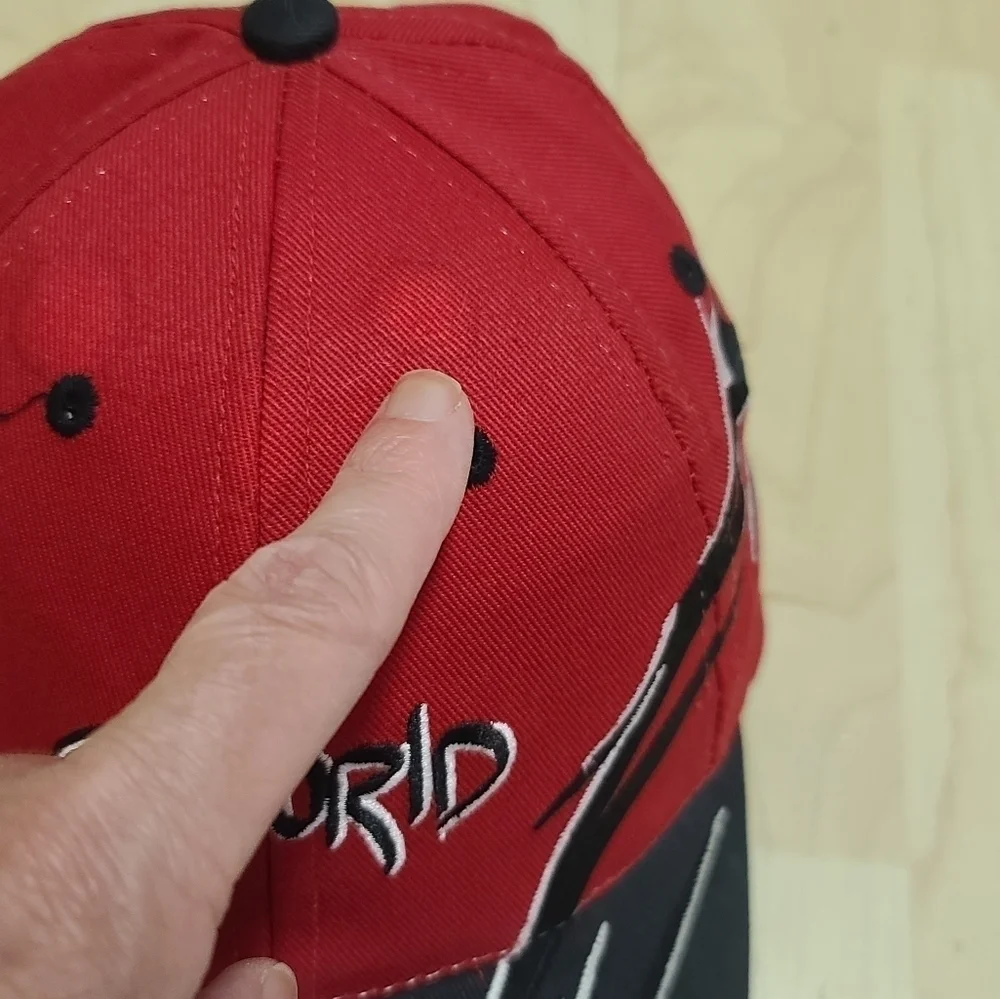 Vintage flames SeaWorld baseball hat